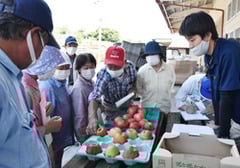 規格を確認する生産者とJA営農技術員