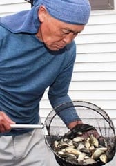 出荷前の小ブナを確認する臼田部会長