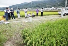 「つきあかり」の生育状況を確認した現地指導会（諏訪市）