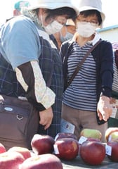 出荷規格を確認する生産者