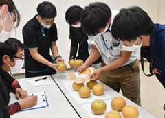 着色や果面の状態を審査するJA職員