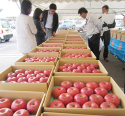 リンゴ品評会 出来上々－西澤さん最優秀 | 県内JAの話題 | JA長野県