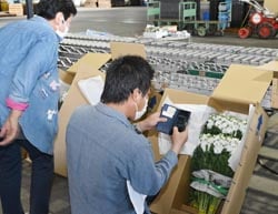 出荷基準を確認する生産者ら