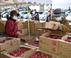 「サンふじ」を買い求める来場者