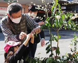 サカキの枝先に繭玉を飾り付ける子ども