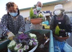 冬の花をふんだんに使って寄せ植えをする参加者