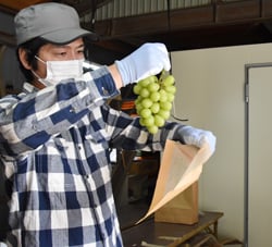 導入した冷蔵庫前で荷造り作業を進める西原さん