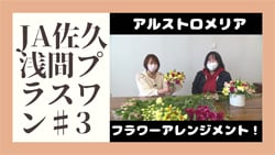 配信されている動画のサムネイル