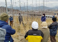 圃場を見学する参加者ら