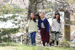 組合長賞を受賞した「なかよし」