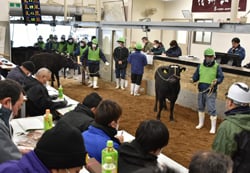 活発に行われた2月市場