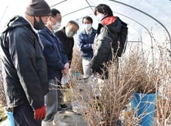 ビニールハウス内の「吹かし」講習会