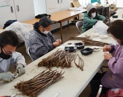 接ぎ木作業を行う従業員ら