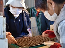 種の入っていない穴を確認し、種をまく担当者ら