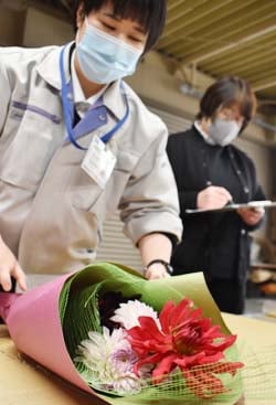 ダリアの花束を作るJA職員