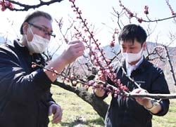 花の調査を行う営農技術員と販売担当