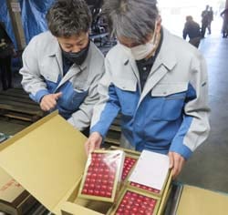 初出荷を迎えたハウスサクランボを慎重に検品作業するJA担当者