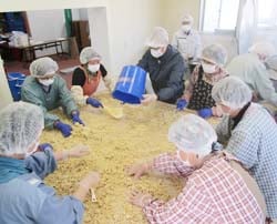 つぶした大豆に塩とこうじを混ぜる班員ら