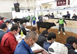 好調な枝肉相場を受け活発な取引となった4月市場