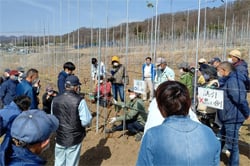 誘引の作業を学ぶ参加者ら