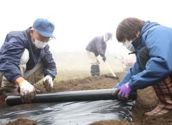 霧雨の降るなか、協力して作業を進める弾男倶楽部のメンバーとJA職員