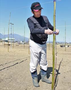 団地にリンゴ苗を新植した小林さん