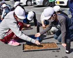 丁寧にもみまき作業する児童