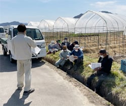 出荷規格や出荷時の注意点を説明する営農技術員