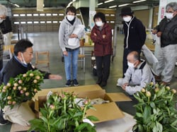 箱詰めの注意点を実演しながら説明