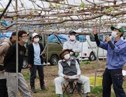 営農指導員の説明を聞いて芽かきのポイントを学ぶ生産者