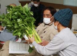 出荷規格を確認する生産者