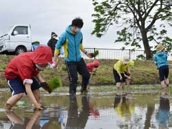 田植えを楽しむ参加者ら