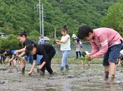 楽しそうに苗を植える児童ら