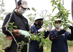 村山支部長（左）と一緒に作業をすすめる生徒（14日、松本市で）