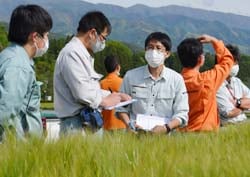 生育状態を確認する吉原係長ら
