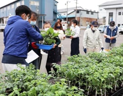 JA職員と注文した苗を確認しながら引き取る組合員