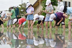 田植えをする南小2年生