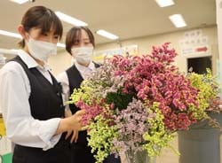 出荷最盛期のサマーチェリーを大きな花びんに生け、PRした諏訪中央支所