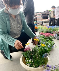 色とりどりの花の苗を選ぶ受講生