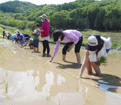 親子で田植えを行う参加者