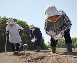 1粒ずつていねいに豆まきを行うメンバー