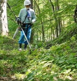 整備を行う小林農家組合長