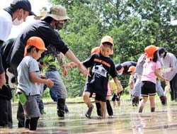 保護者と一緒に楽しく田植えをする園児