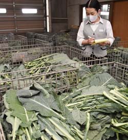 出荷品を確認するJA職員