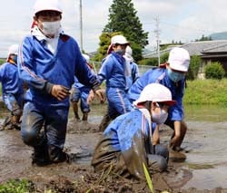 楽しそうに田んぼではしゃぐ児童たち