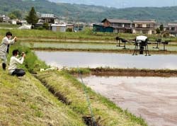 ドローンによる播種作業