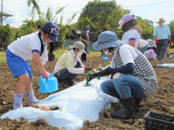 植え付け作業に汗を流す参加者