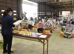 出荷上の注意点を確認した生産者