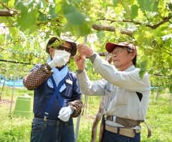 姫野さん（右）から指導を受けながら作業を行う会員