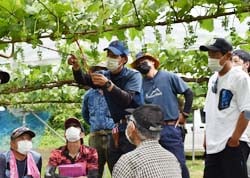 JA技術員の指導を受ける生産者